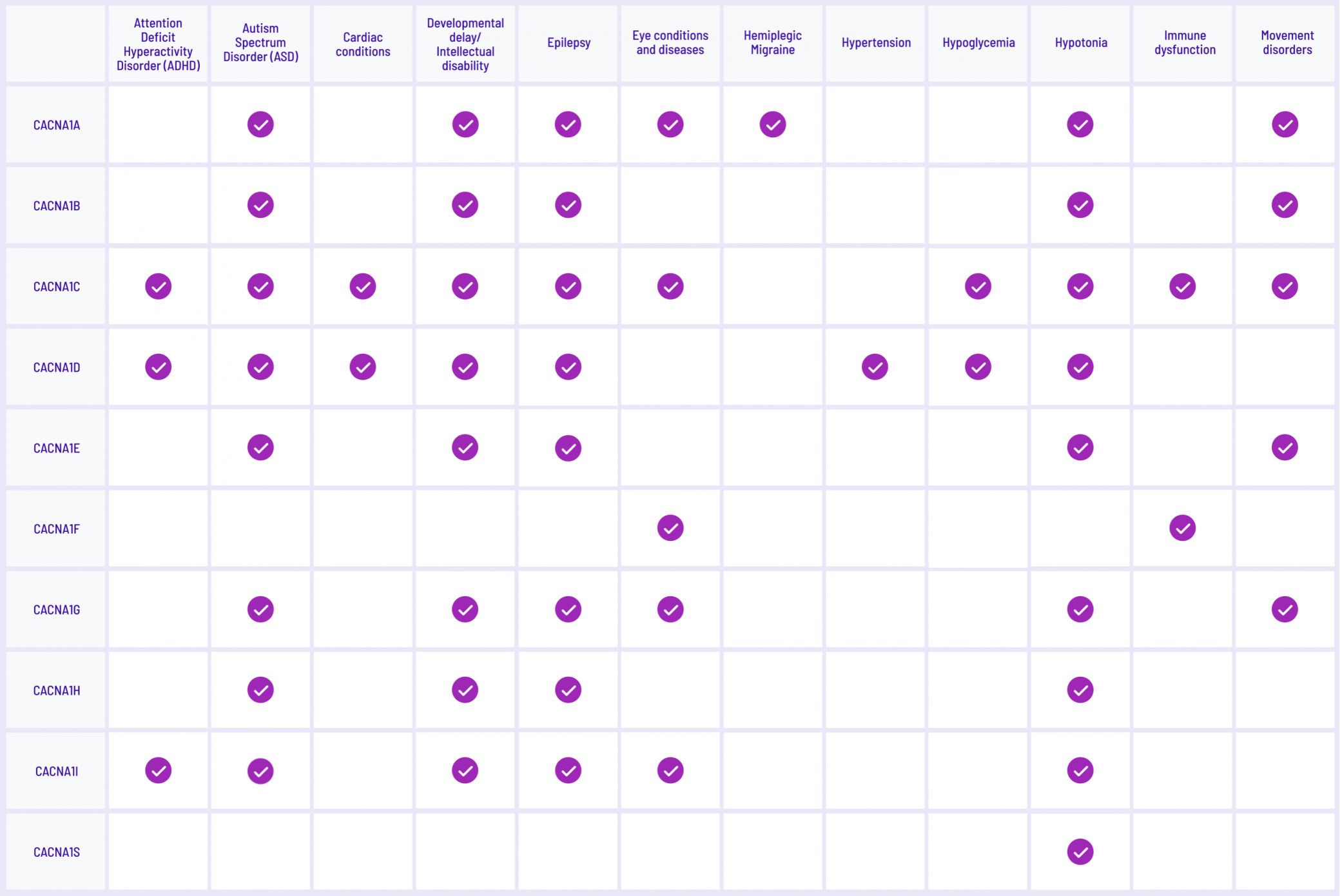 A table displaying associations between CACNA genes and medical conditions. The first column lists CACNA genes: CACNA1A, CACNA1B, CACNA1C, CACNA1D, CACNA1E, CACNA1F, CACNA1G, CACNA1H, CACNA1I, and CACNA1S. The top row lists medical conditions: Attention Deficit Hyperactivity Disorder (ADHD), Autism Spectrum Disorder (ASD), Cardiac conditions, Developmental delay/Intellectual disability, Epilepsy, Eye conditions and diseases, Hemiplegic Migraine, Hypertension, Hypoglycemia, Hypotonia, Immune dysfunction, and Movement disorders. Each cell in the table represents whether a gene is associated with a specific condition. A purple checkmark (✔) indicates an association, while an empty cell indicates no known association. CACNA1A is associated with Autism Spectrum Disorder, Epilepsy, Hemiplegic Migraine, and Hypotonia. CACNA1B is associated with Autism Spectrum Disorder and Epilepsy. CACNA1C is associated with Autism Spectrum Disorder, Developmental delay/Intellectual disability, and Epilepsy. CACNA1D is associated with Autism Spectrum Disorder, Developmental delay/Intellectual disability, Epilepsy, and Hypertension. CACNA1E is associated with Autism Spectrum Disorder and Epilepsy. CACNA1F is associated with Eye conditions and diseases. CACNA1G is associated with ADHD, Autism Spectrum Disorder, Epilepsy, and Movement disorders. CACNA1H is associated with ADHD, Autism Spectrum Disorder, Epilepsy, and Hypertension. CACNA1I is associated with Autism Spectrum Disorder and ADHD. CACNA1S is associated with Hypotonia and Immune dysfunction. This table visually presents the link between specific CACNA genes and various medical conditions to aid in understanding genetic associations.